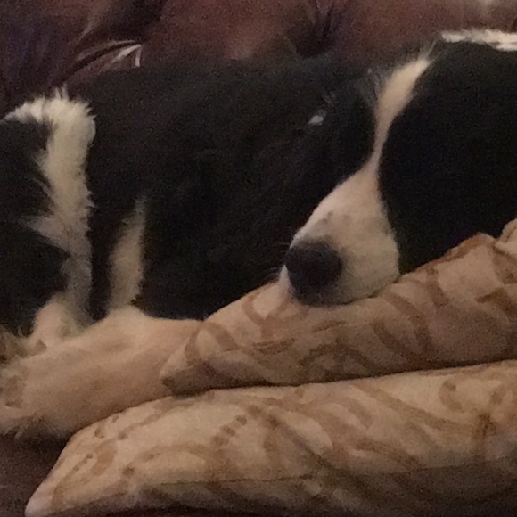 Meet your Posher, Laura - Picture 1 of 1